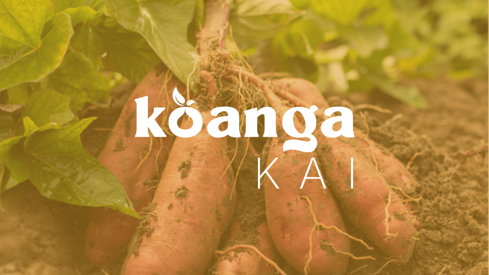 Kōanga+Kai+web+banner.png